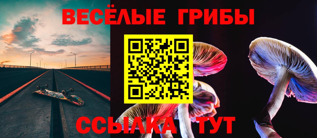 Псилоцибиновые грибы GOLDEN TEACHER  Вход с VPN  Рязань 